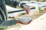 sel marais salants 