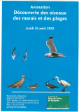 Découverte des oiseaux des marais et des plages