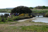 Terre de Sel - Guérande