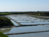 Visite guidée en groupe des Marais salants
