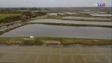 Reportage TF1 - Saint-Molf - Das Bassin du Mès