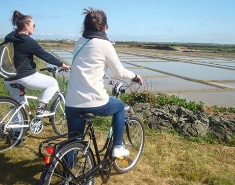 A vélo dans les marais salants