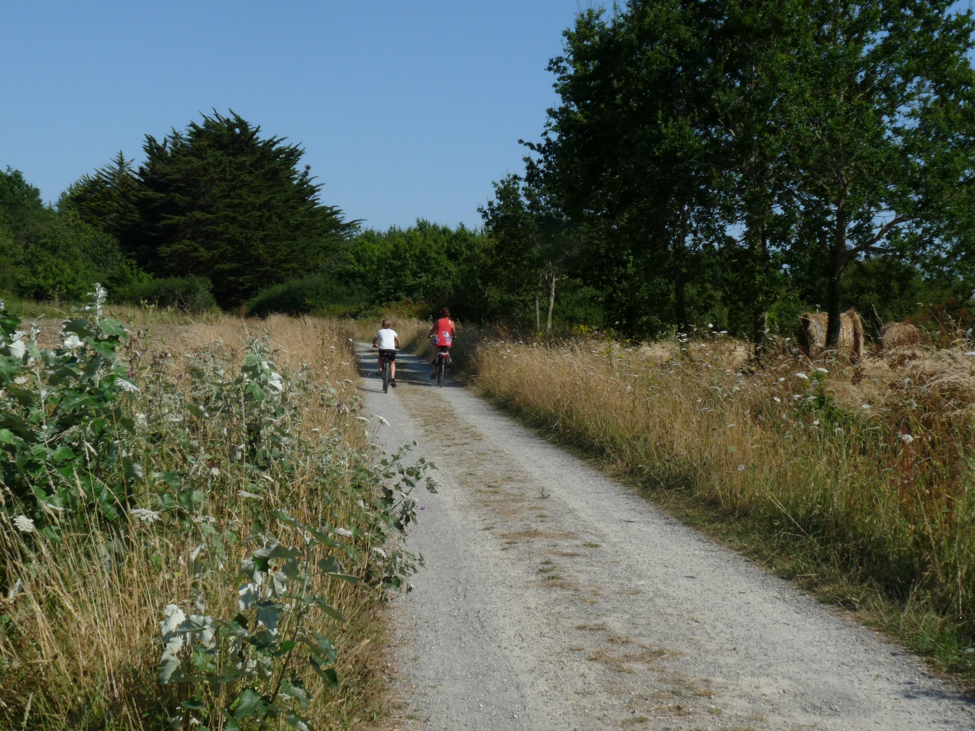 A vélo en campagne