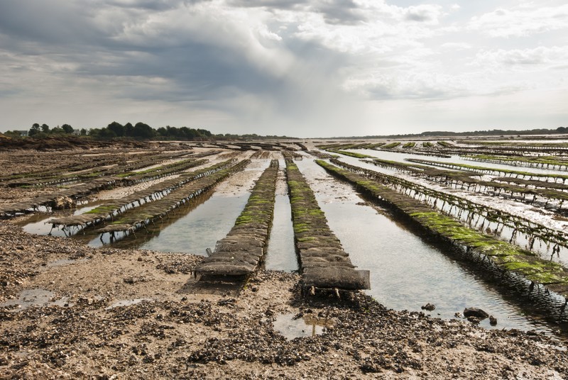 cap-atlantique-asserac-ostreiculture-1090145