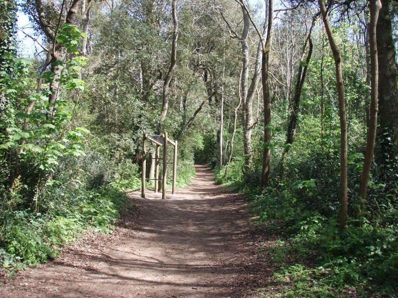 Forêt d'Escoublac - La Baule