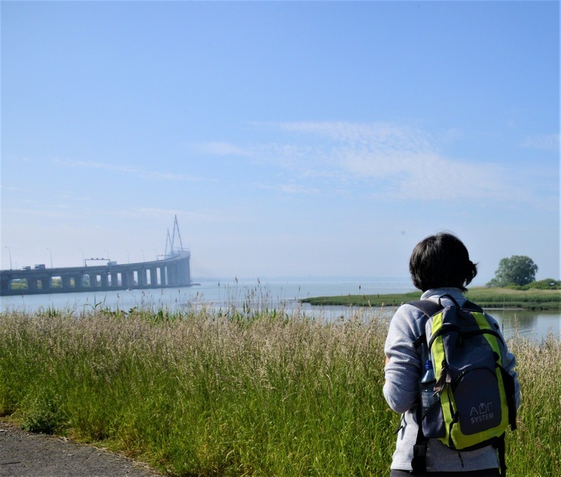 le-pont-de-saint-nazaire-1090151