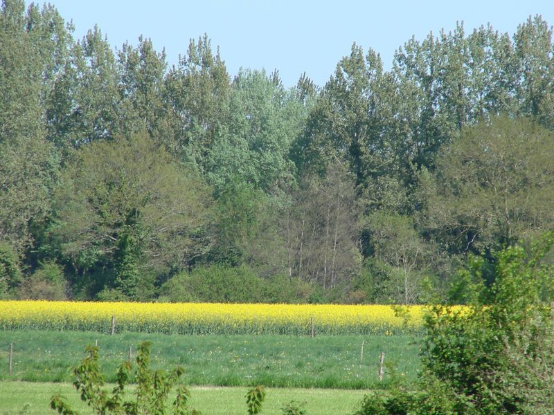 Les landes de Bilais