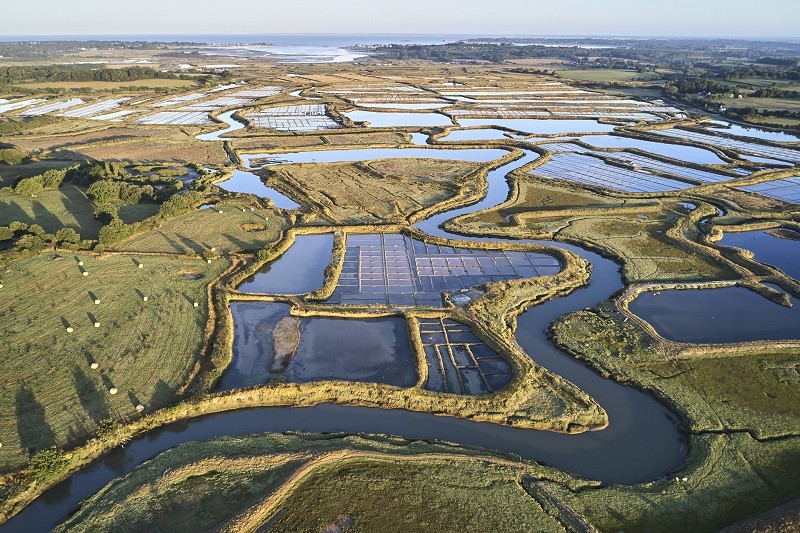 Les marais salants du Mès