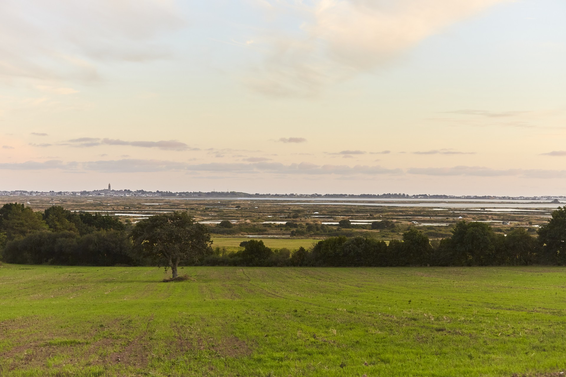 Panorama Guérande 2020