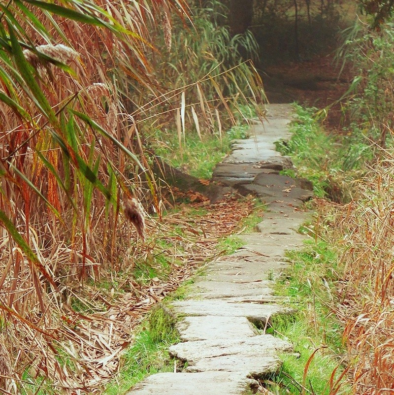 Pont de Gras, Brière