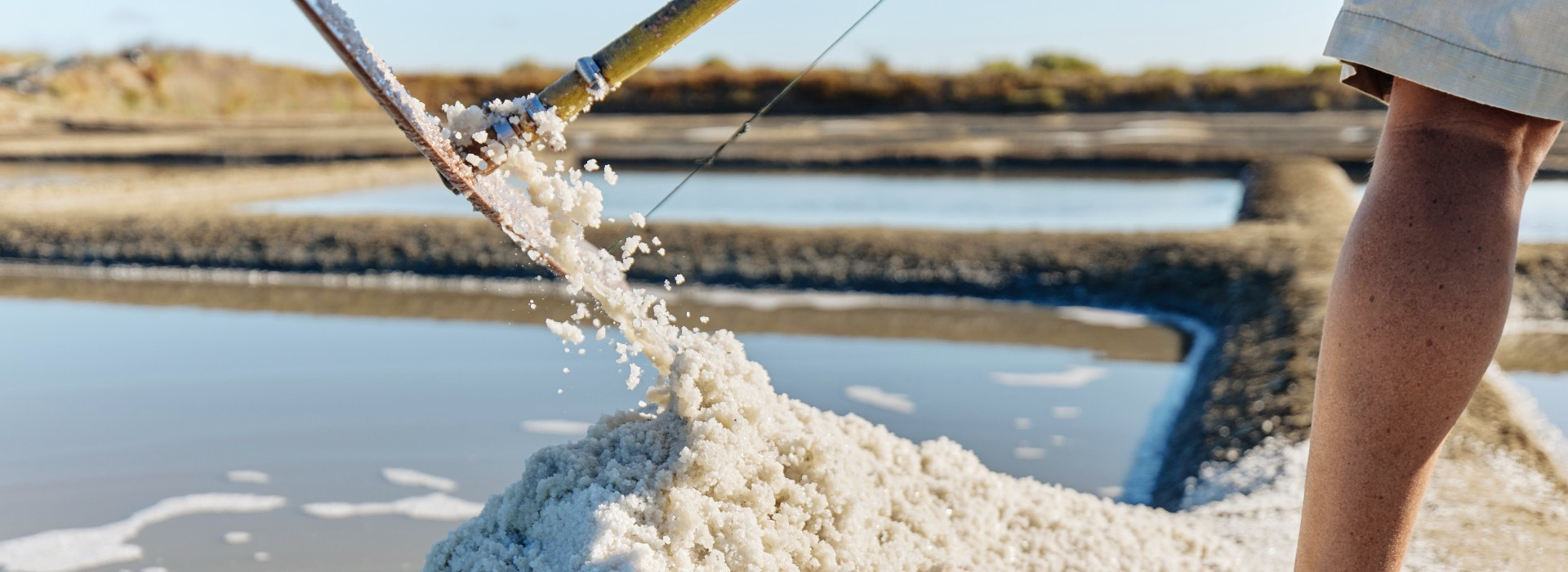 Salt'sUp Gros sel de Guérande : : Maison