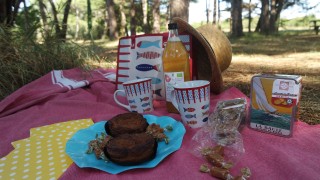 Blog - Les lieux de Pique-nique en Presqu'île de Guérande