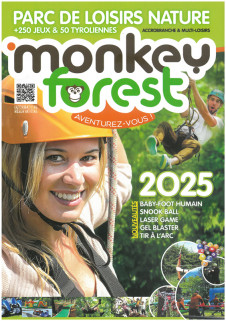 monkey-forest-2593197