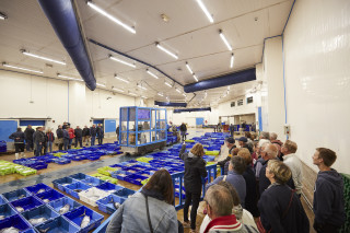Visite scolaire de la criée de La Turballe
