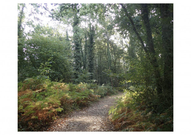 A la découverte d'Herbignac - Herbignac