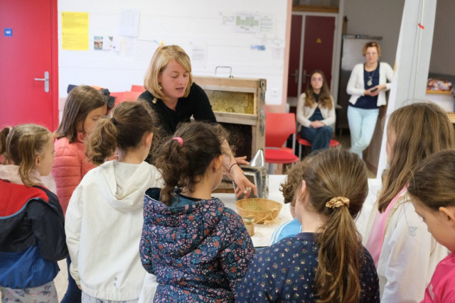 Atelier de découverte de l'apiculture - Guérande