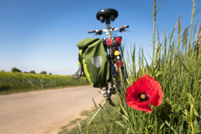 Balades découvertes du territoire - Vélo Presqu'île