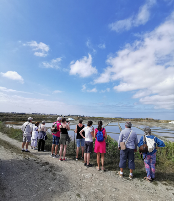 Batz-sur-Mer - Visite à la découverte d'un paludier - Saveurs d'octobre