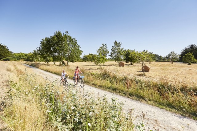 Blog - Pénestin à vélo avec Aurélie