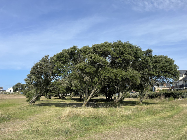 boulevard-de-mer-2592821