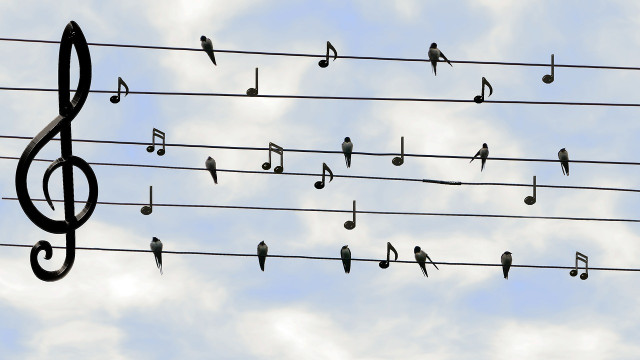 Concert à l'unison