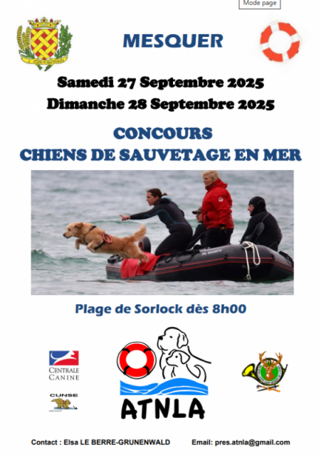 Concours de chiens de sauvetages en mer