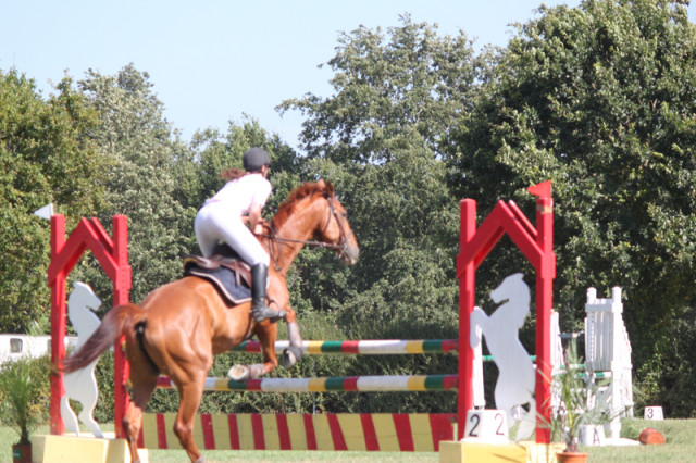 concours-hippique-shbm-bd-2234805