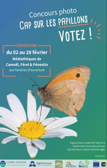 Concours photos : cap sur les papillons, Camoël, Férel, Pénestin