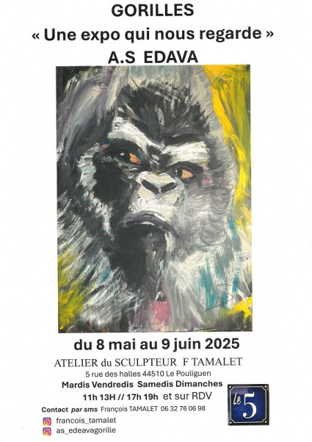 Exposition: Gorilles