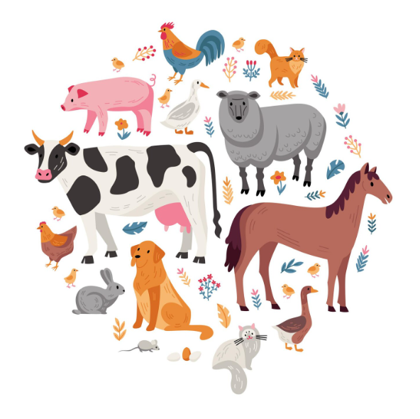 Exposition Les animaux de la ferme - La Turballe