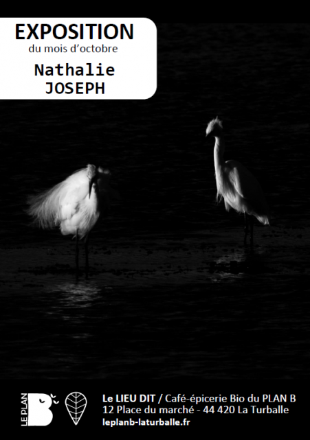 Exposition Nathalie Joseph le Plan B - La Turballe