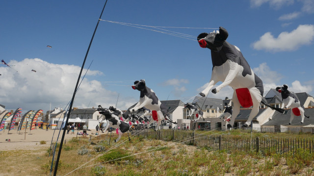 Festi'vent - La Turballe