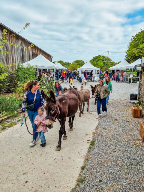 Fête de la biodiversité - Guérande