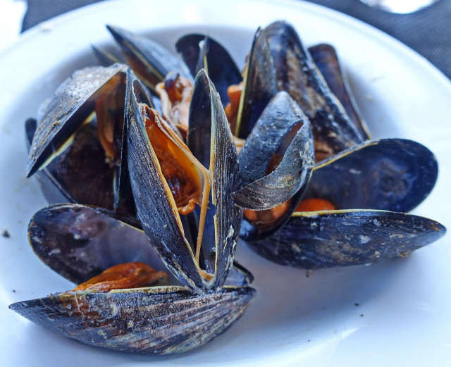 Fête de la moule le Logo à Pénestin