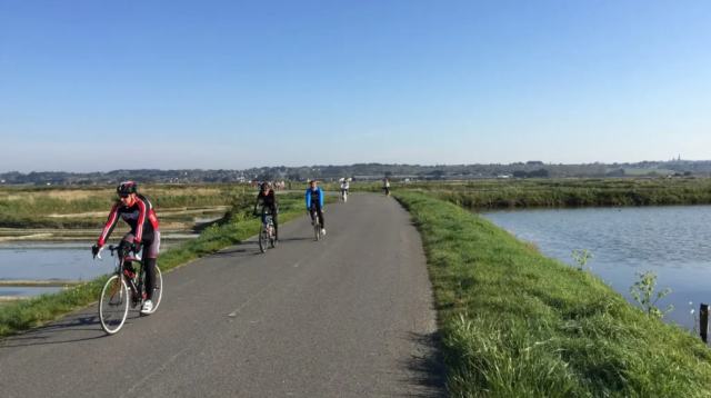 Journée douce dans les marais salants - La Turballe