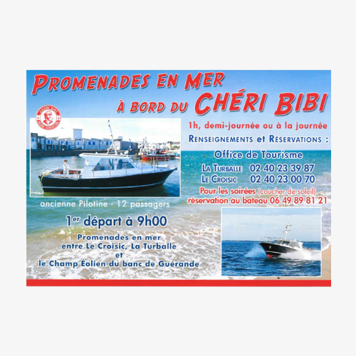 La Turballe - Chéri Bibi - Balade en mer