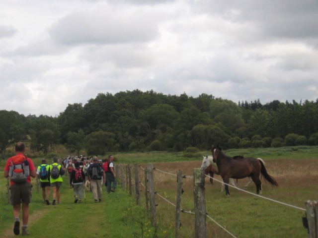 Les randonneurs du Brivet