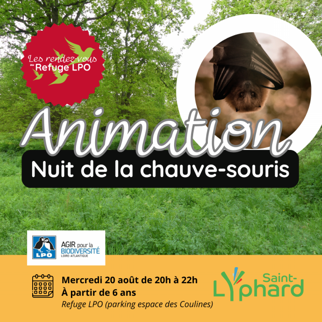 Les rdv refuge LPO St Lyphard : nuit de la chauve-souris