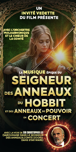 lotr-256x512px-2598673