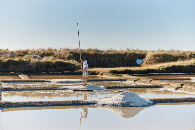 marais salants Assérac