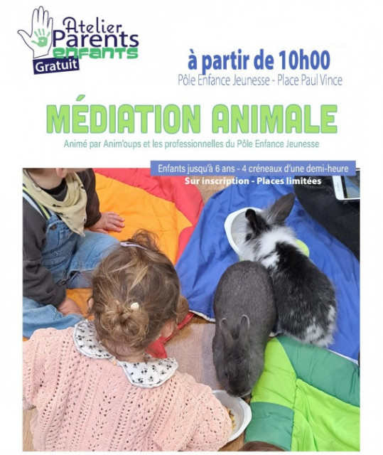 mediation-animale-piriac