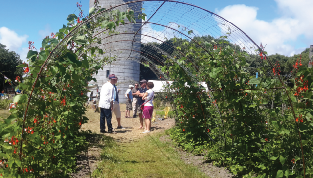 Portes-ouvertes des Jardins de Cramphore - le Pouliguen