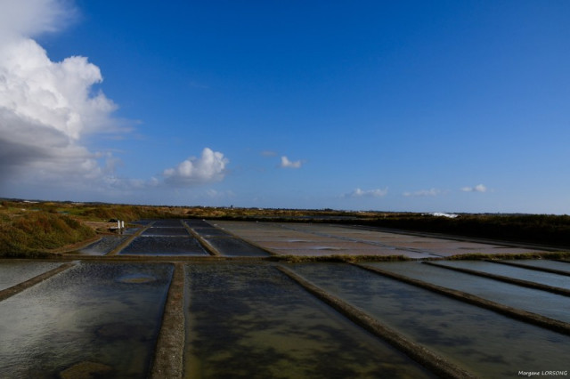 Randonnée au cœur des marais - Guérande