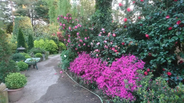 Rendez-vous aux jardins - Le Jardin de Lumbini - Saint-Lyphard
