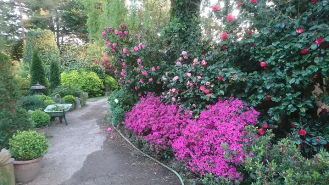 Rendez-Vous aux jardins : Le Jardin de Lumbini Le 31 mai 2024