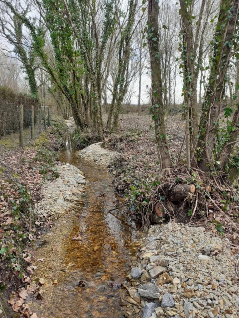 Ruisseau de la Noë malade - Piriac-sur-mer