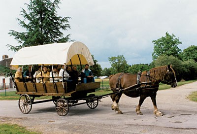 Saint-Lyphard - Brière Evasion - Barge trip and horse-drawn carriage ride - 1h30