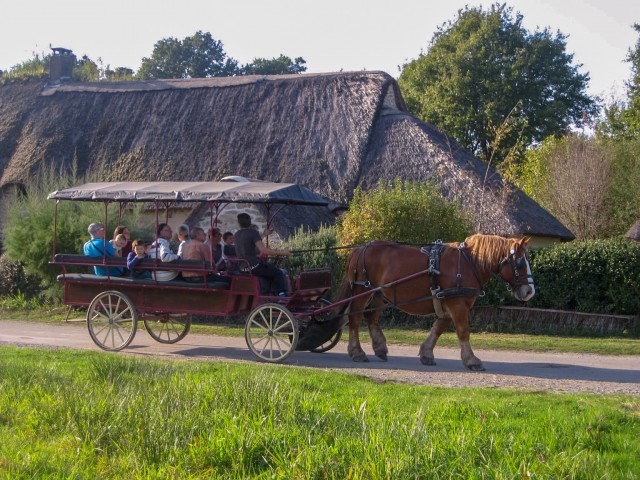 Saint-Lyphard - Faune briéronne - Balade en chaland + calèche - 1h30