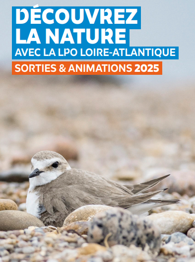 Sortie nature - Promenade aux Faillies Brières - Guérande