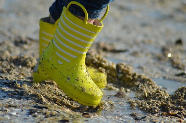 Sortie pêche à pieds - Pénestin